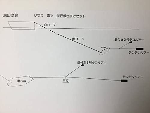 鳥山漁具 トローリング サワラ、青物潜航板仕掛け９号セット! - 鳥山